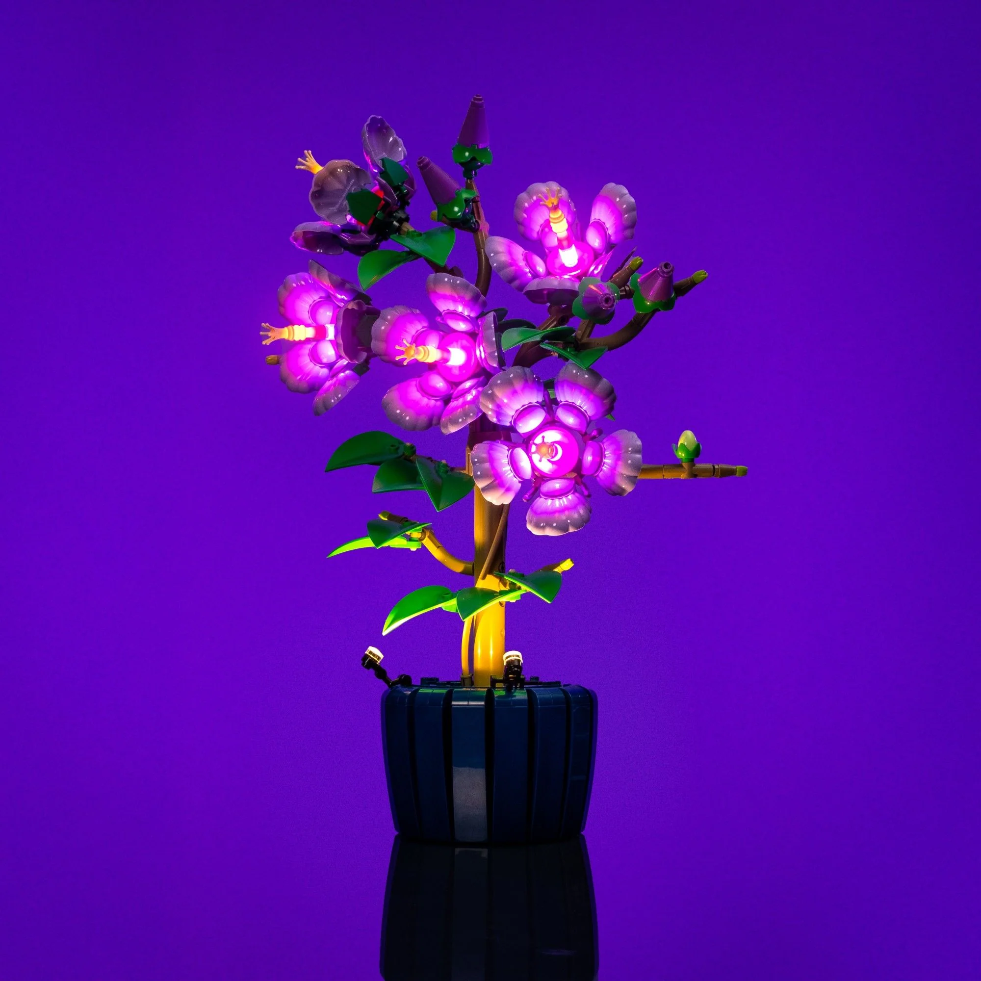 Light Kit for LEGO® Botanicals Hibiscus #10372 - Image 5